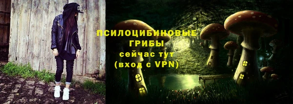 дживик Алексеевка