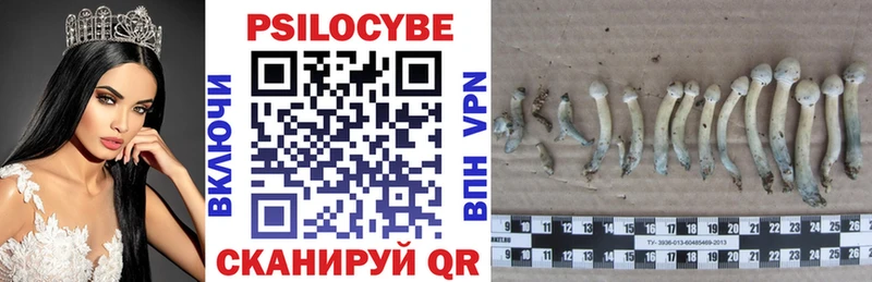 Галлюциногенные грибы прущие грибы  гидра ссылки  Октябрьск 